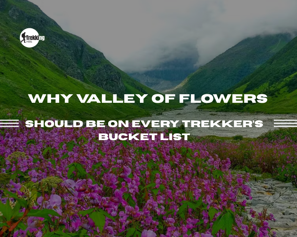 valley of flowers